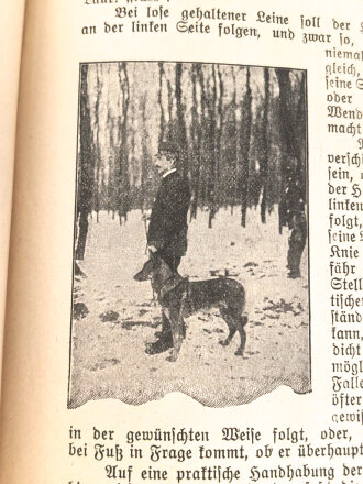 "Leitfaden für die Abrichtung des Diensthundes" datiert 1922, 162 Seiten, DIN A5