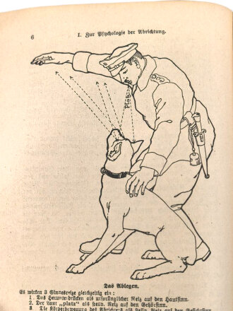 "Leitfaden für die Abrichtung des Diensthundes" datiert 1922, 162 Seiten, DIN A5