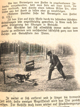 "Leitfaden für die Abrichtung des Diensthundes" datiert 1922, 162 Seiten, DIN A5
