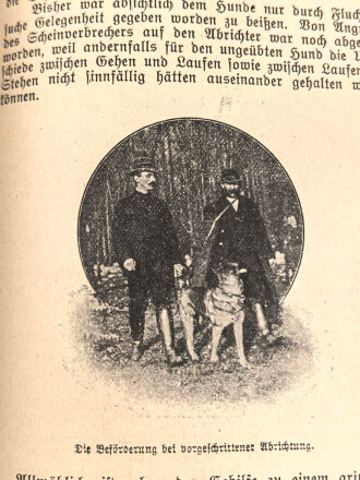 "Leitfaden für die Abrichtung des Diensthundes" datiert 1922, 162 Seiten, DIN A5