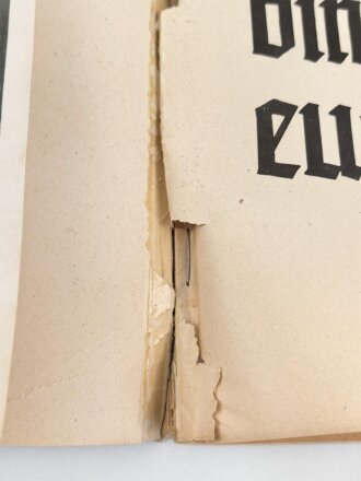 "Geschichte der SA" Großformatiges Bilderbuch mit 127 Seiten, ein Bildnis des Stabchef lose innliegend. Maße 26 x 36cm