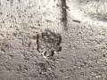 Österreich k.u.k., Seitengewehr Mannlicher Modell 1895 für Unteroffiziere. Im Koppelschuh. Auf der Griffschale Emblem " "der Heimat treu"