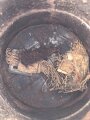 1.Weltkrieg, Bereitschaftsbüchse für eine Gasmaske. Originallack, ungereinigtes Stück