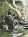 "Die französische Fremdenlegion" 66 Seiten, gebraucht DIN A4