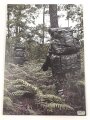 "Dragonne 2011-2012" ca. 100 Seiten, gebraucht DIN A4