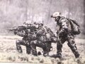 "13e RDP Les Dragons Parachutistes" ca. 50 Seiten, gebraucht ca DIN A4