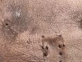 1.Weltkrieg, Tasche zum Elementprüfer, Unvollständig