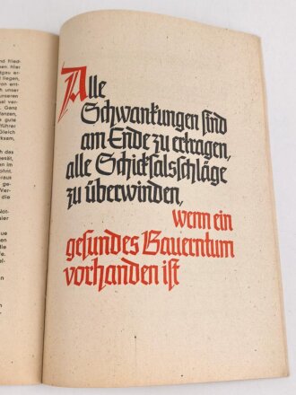 Konvolut eines BDM Mädel aus Frankfurt / Main, Landjahr Ausweis (ausgefüllt, Leistungsbuch BDM blanko und 2 Hefte "Führerinnen-Dienst", datiert 1938