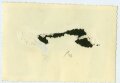 Angehöriger der Nachrichtentruppe mit Klappenschrank im Fahrzeug, Maße 10,5 x 7 cm