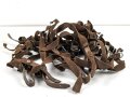Konvolut Riemen aus Web Ersatzmaterial mit teils Deutschen, teils Italienischen ? Metallbeschlägen. Der Ring hnat einen Durchmesser von 4,3mm, der lange Riemen hat eine Länge von 56cm.