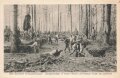 1. Weltkrieg, Ansichtskarte "Vom östlichen Kriegsschauplatz - Stützpunktbau in einem Walde unmittelbar hinter der Ostfront"
