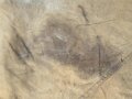 Sandfarbene Zeltbahn, meiner Meinung nach typisch deutsche Fertigung aus den 1930/40iger Jahren. Ungereinigtes Stück , keine Markierungen