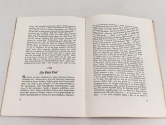 "Papa Laue - Der Regiments Kommandeur von Res.- Inf. Reg. 249 1915-1918" 31 Seiten, DIN A5, Einband fleckig