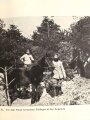 "Um Vaterland und Freiheit" datiert 1915, 112 Seiten, DIN A4