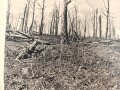 "Schicksalswende am Douaumont" datiert 1942, 159 Seiten, unter DIN A4