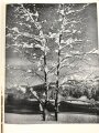 "Im Angesicht des Gebirges" Bild einer Landschaft im Jahreskreis, datiert 1937, 71 Seiten, über DIN A4