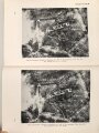 "Seelenkräfte in Kampf um Douaumont" Kurt Klüfer. 363 Seiten plus Karten, Verlag Die Brücke 1938