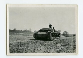 "Deutscher Tank in Polen ", Fliegererkennungstuch ?, Maße 9x6cm