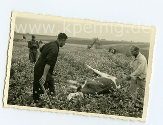 Foto Proviantbeschaffung Luftwaffe, Maße 6x9cm