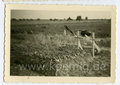 3 Fotos Gräber Brit. und kanadischer Luftwaffenangehöriger nach Abschuss, Maße 6x9cm, datiert 1940