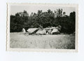 Foto abgestürztes französisches Flugzeug 1940, Maße 9x6cm,