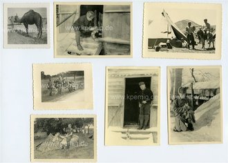 7 Fotos Soldaten und Tiere, Maße meist 10x7cm