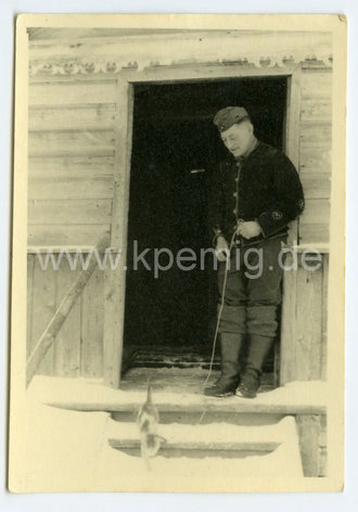 7 Fotos Soldaten und Tiere, Maße meist 10x7cm