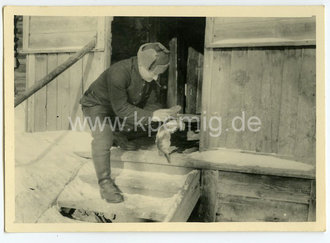 7 Fotos Soldaten und Tiere, Maße meist 10x7cm