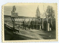 Foto Rentierbrücke, Maße 6x9cm