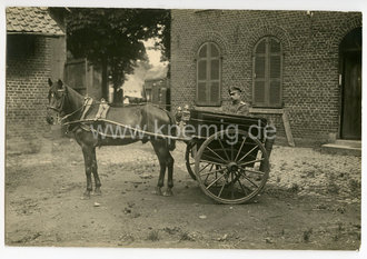 1.Weltkrieg, Foto Offizier in Pferdewagen, Maße 9x14cm