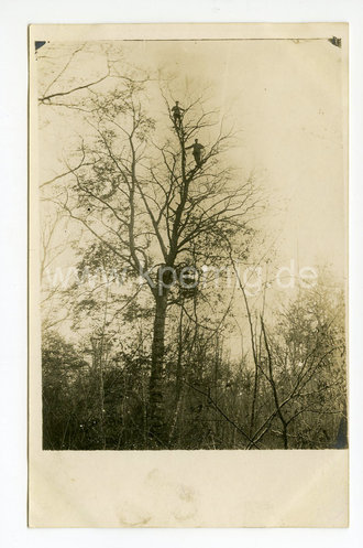 1.Weltkrieg Foto Artilleriebeobachter, Maße 9x14cm