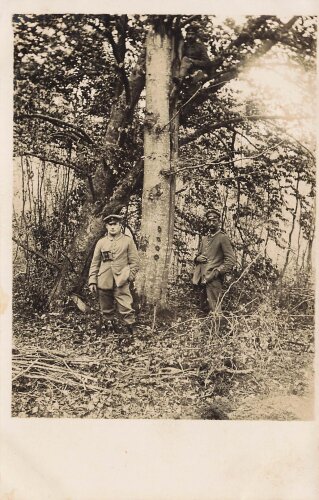 Foto 1. Weltkrieg, durch Volltreffer aufgespalteter Baum , Maße 9x14cm