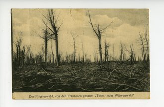 1.Weltkrieg, Ansichtskarte "Der Priesterwald, von den Franzosen genannt `Toten- oder Witwenwald", datiert 191`6