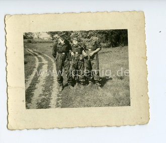 Foto, Waffen SS Panzerkombis, Maße 6x7cm