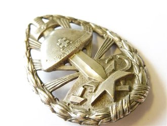 Slowakei 2. Weltkrieg Ehrenzeichen der Schnellen Division in Russland 1. Klasse