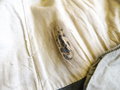 1. Weltkrieg, feldgrauer Mantel Kammerstück datiert 1917, ungereinigter Fundzustand, Schulterbreite 49 cm, Armlänge 59 cm