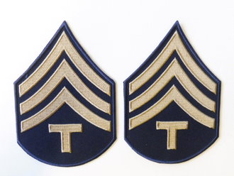 Technician 4th Grade Rayon Rank Chevrons (pair), At the Front