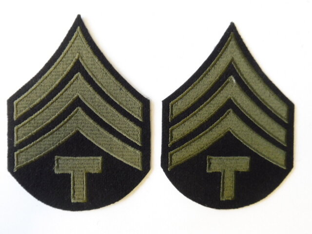 Technician 4th Grade Wool Rank Chevrons (pair), At the Front, 12,00