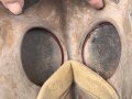 Belgien Armeegasmaske SACIC 1934 mit Filter in Bereitschaftstasche. Alles in gutem Zustand