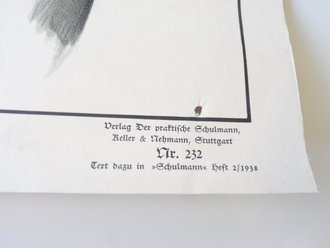 Plakat " Die Volksgasmaske ( VM37 ) " An den Ecken leicht beschädigt, Maße 64 x 91cm
