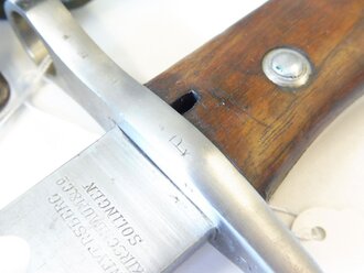 Argentinien Bajonett Modell Mauser 1909. Sehr guter Zustand, mit dem passenden Koppelschuh