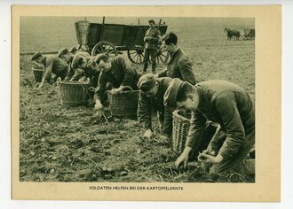 Ansichtskarte Soldaten helfen bei der Kartoffelernte