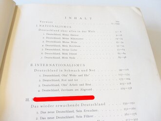 "Deutsche Zeitenwende" Vom Nationalismus zum Nationalsozialismus. Völkischer Verlag 1934, mehr als 400 Seiten