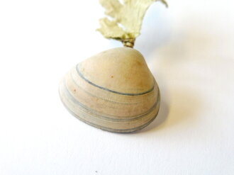 WHW Gau Weser Ems, Muschel-Sammlung