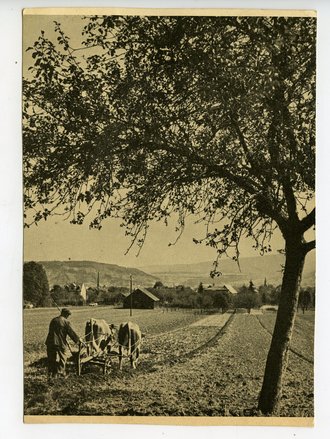 Ansichtskarte aus "Werden und Wachsen" 1939