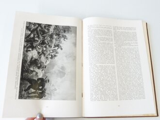 "Der Weltbrand" Illustrierte Geschichte aus großer Zeit, Band 1-3, zusammen um 900 Seiten