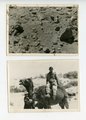 22 Fotos Afrikakorps, Maße meist 6x9 cm