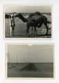 22 Fotos Afrikakorps, Maße meist 6x9 cm