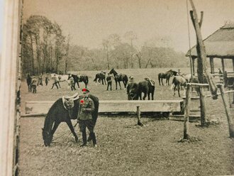 "Roß und Reiter am Feind" das Pferd im Grossdeutschen Freiheitskampf. 168 Seiten, im Schutzumschlag