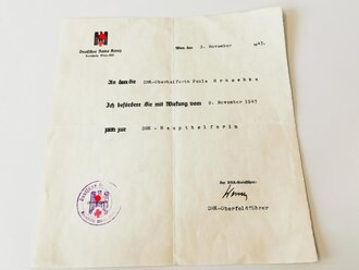 Nachlass einer Deutsches Rotes Kreuz Haupthelferin, bestehend aus Dienstbuch, 3 Beförderungen und 2 Personalausweisen